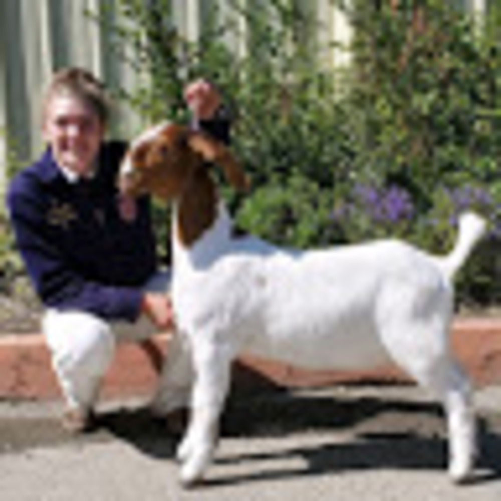 Meet your Posher, Belinda